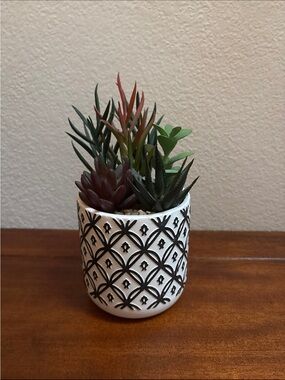 Garden Party Faux Succulent